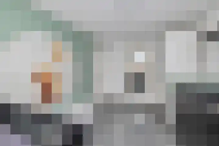 Burgemeester van Nienesstraat 11 Uitgeest thumbnail 27
