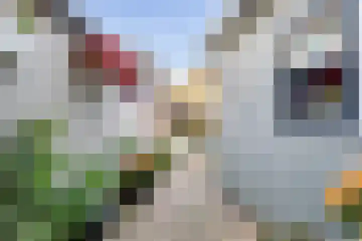 Burgemeester van Nienesstraat 30 Uitgeest thumbnail 10