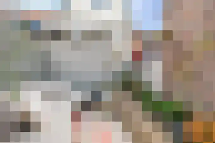 Burgemeester van Nienesstraat 30 Uitgeest thumbnail 12