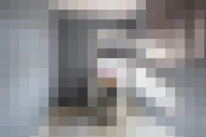 Burgemeester van Nienesstraat 30 Uitgeest thumbnail 19