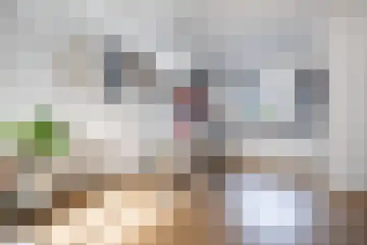 Burgemeester van Nienesstraat 30 Uitgeest thumbnail 5