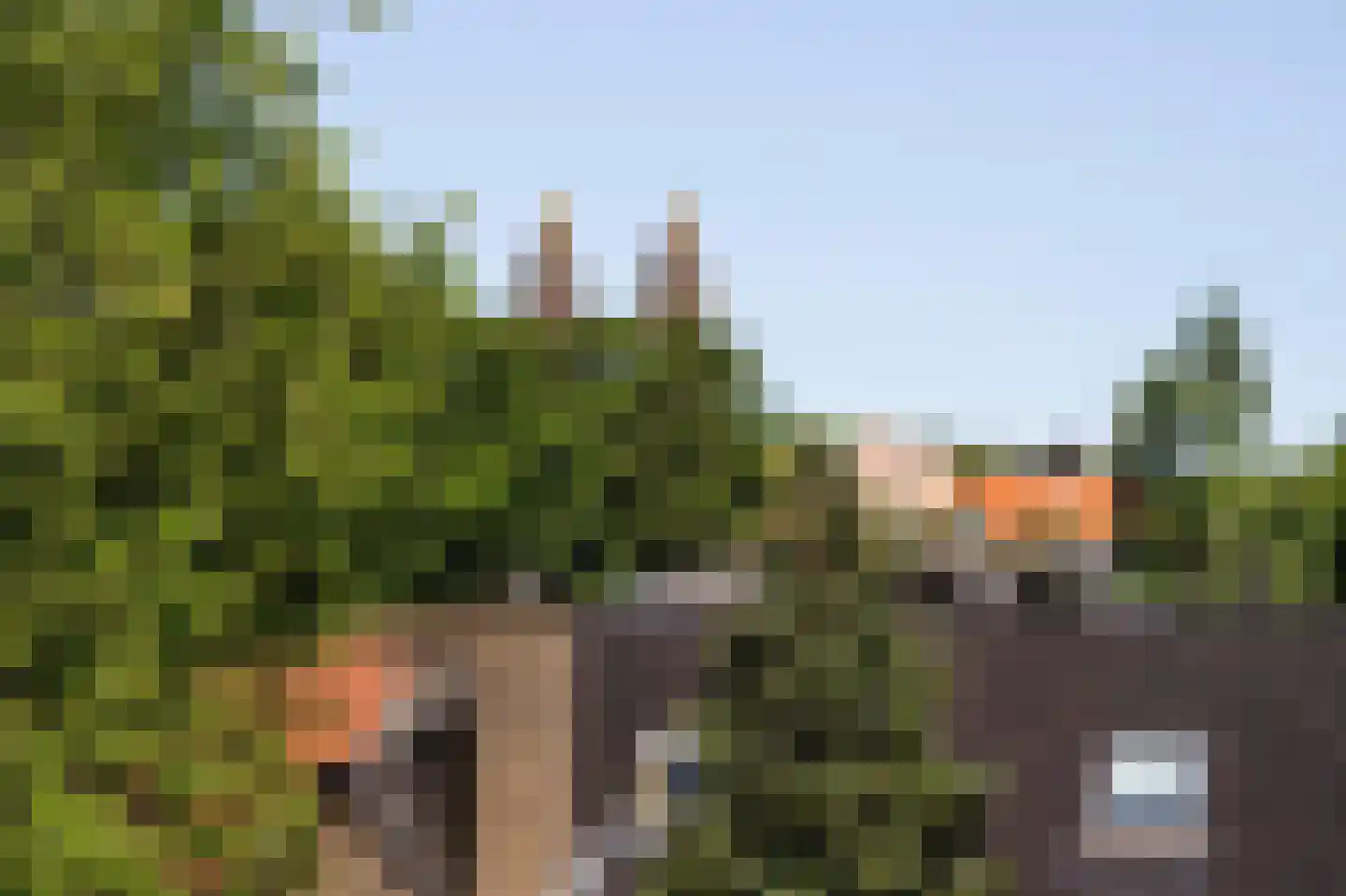 Burgemeester van Nispen van Sevenaerstraat 40 Laren thumbnail 23