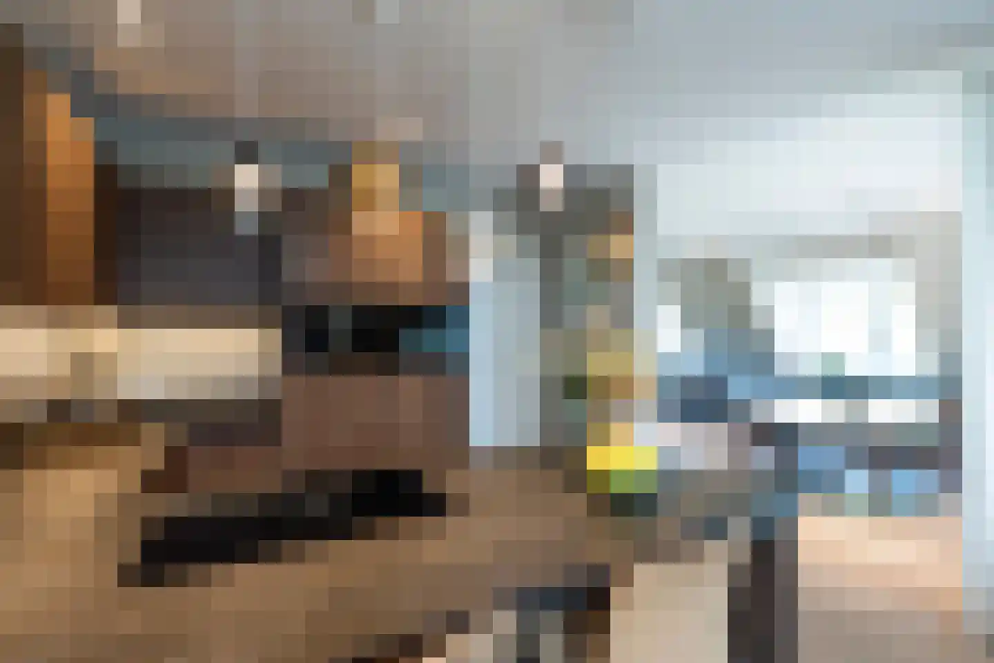 Burgemeester van Nispen van Sevenaerstraat 40 Laren thumbnail 7
