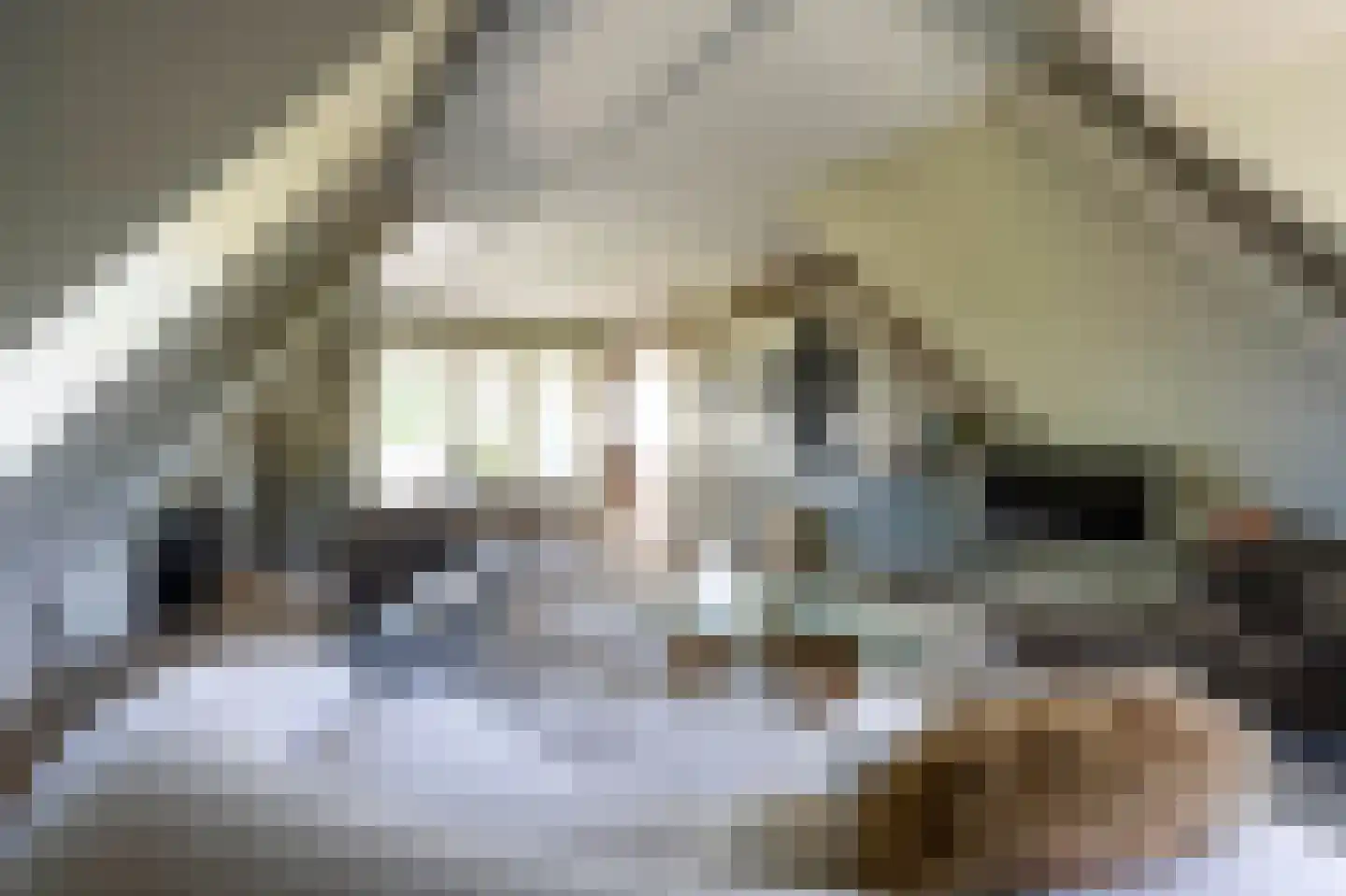 Burgemeester van Nispen van Sevenaerstraat 40 Laren thumbnail 9