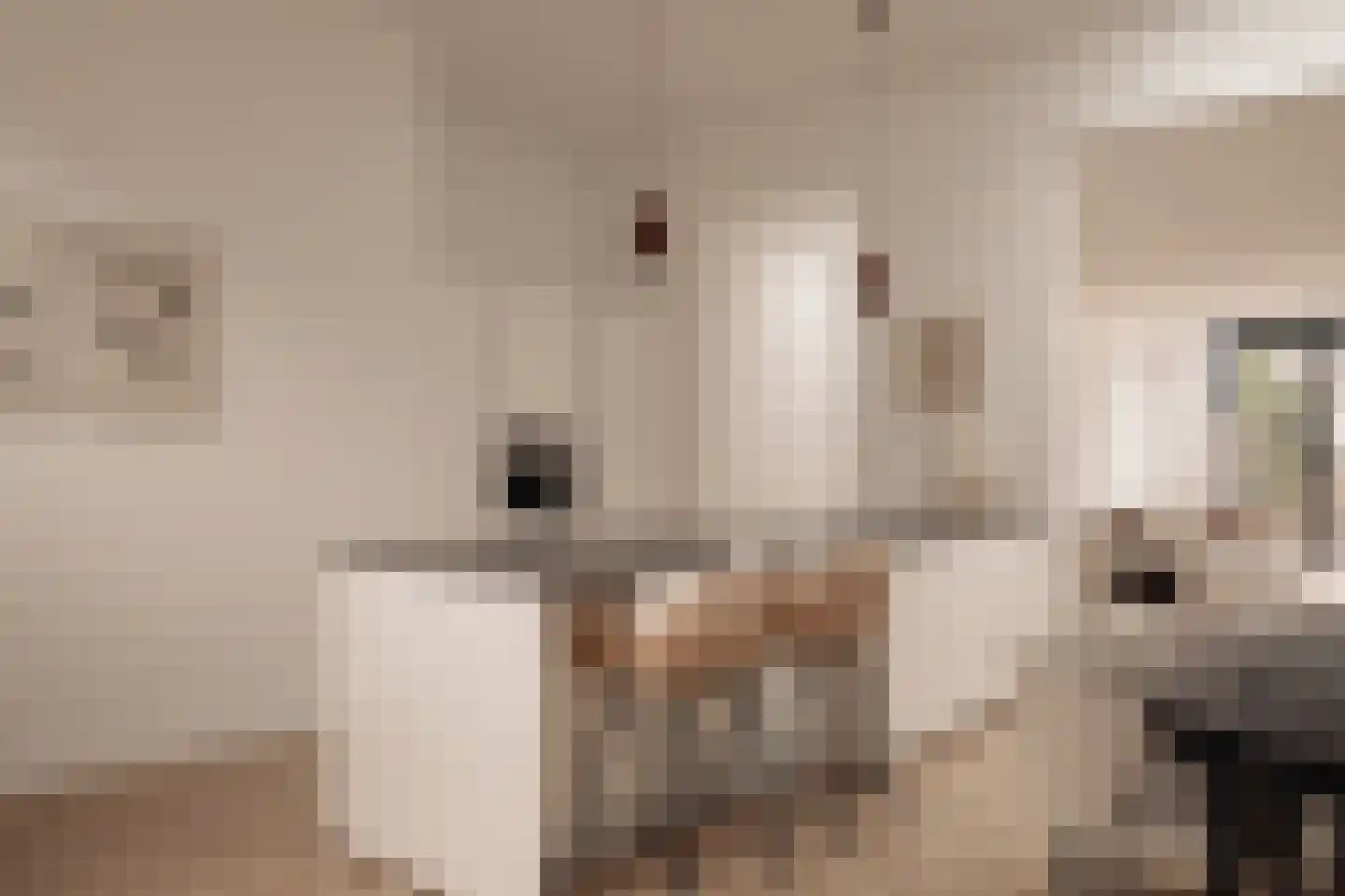 Burgemeester van Nispen van Sevenaerstraat 5 a Laren thumbnail 5