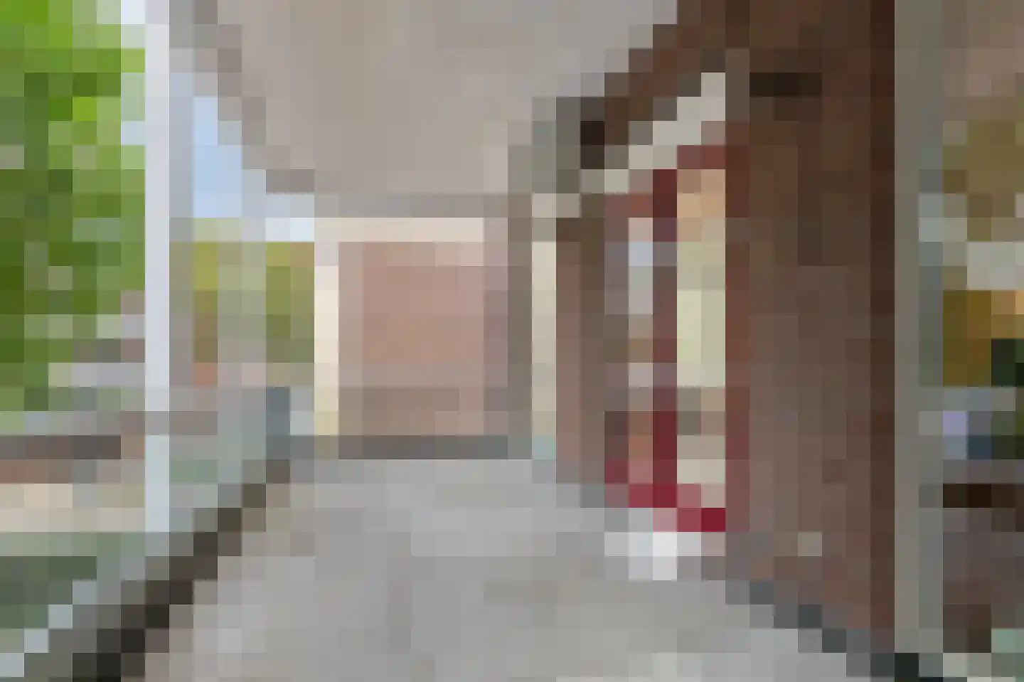 Burgemeester van Nispenstraat 7 08 Doetinchem thumbnail 48