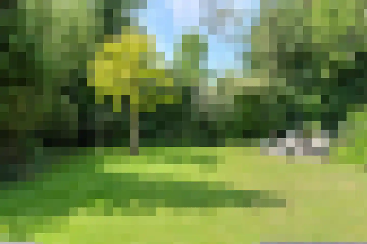 Burgemeester van Oerslaan 6 Oosterhout thumbnail 42