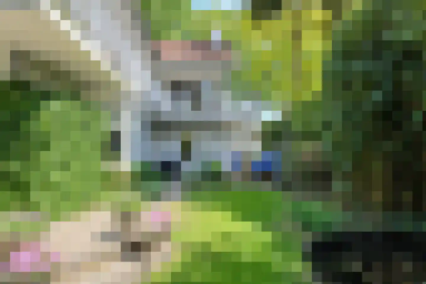 Burgemeester van Oerslaan 6 Oosterhout thumbnail 46