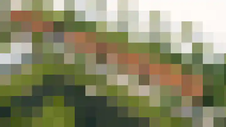 Burgemeester Van Ommerenweg 5 Blokzijl thumbnail 11