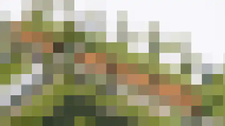 Burgemeester Van Ommerenweg 7 Blokzijl thumbnail 7