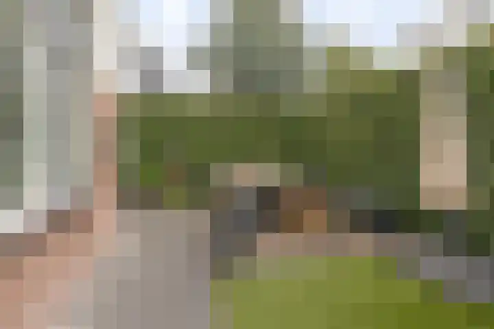 Burgemeester van Oordtstraat 2 Ermelo thumbnail 4
