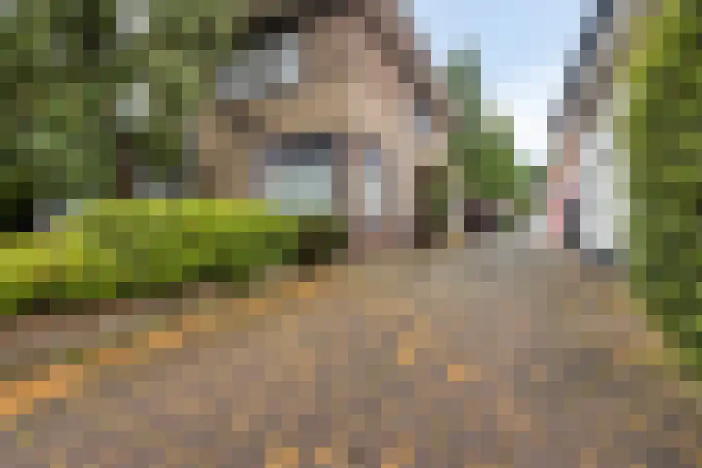 Burgemeester van Oordtstraat 4 Ermelo foto 3