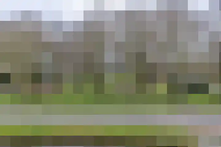 Burgemeester van Oostenweg 1 l Bergschenhoek thumbnail 15
