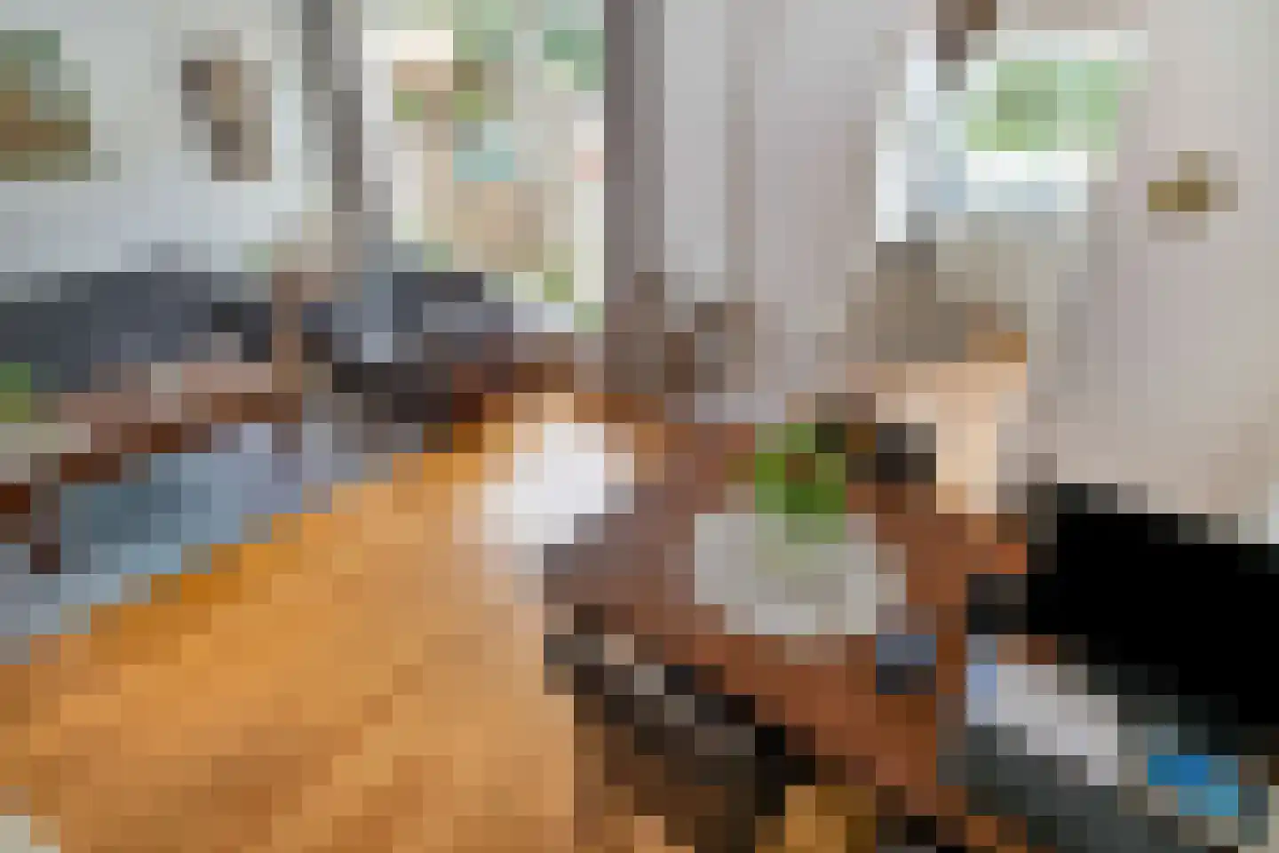 Burgemeester van Outerenstraat 11 Zoeterwoude thumbnail 10