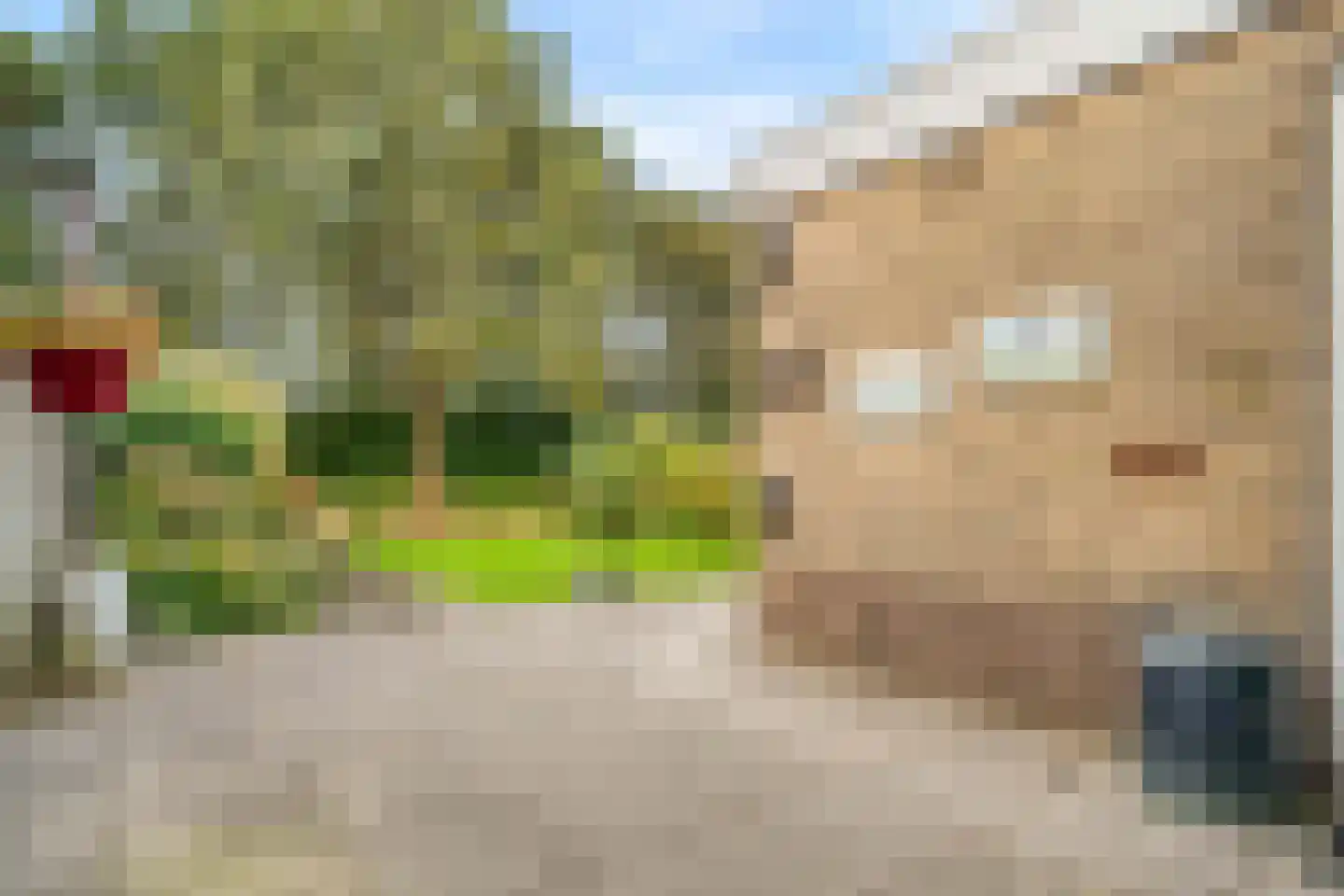 Burgemeester van Outerenstraat 11 Zoeterwoude thumbnail 14