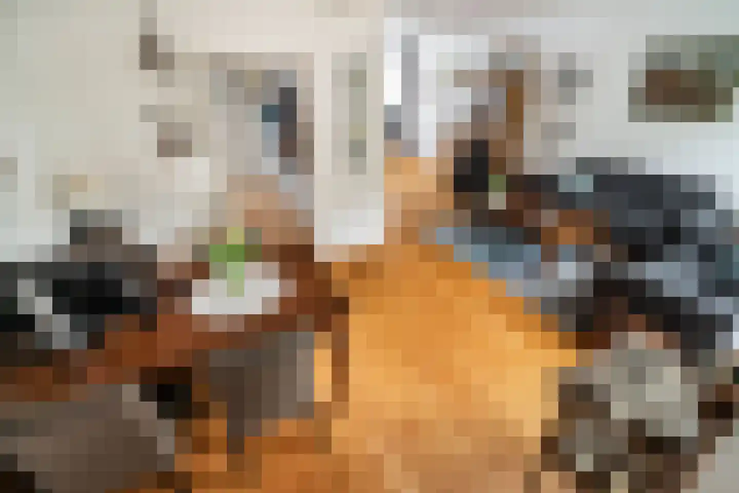 Burgemeester van Outerenstraat 11 Zoeterwoude thumbnail 21