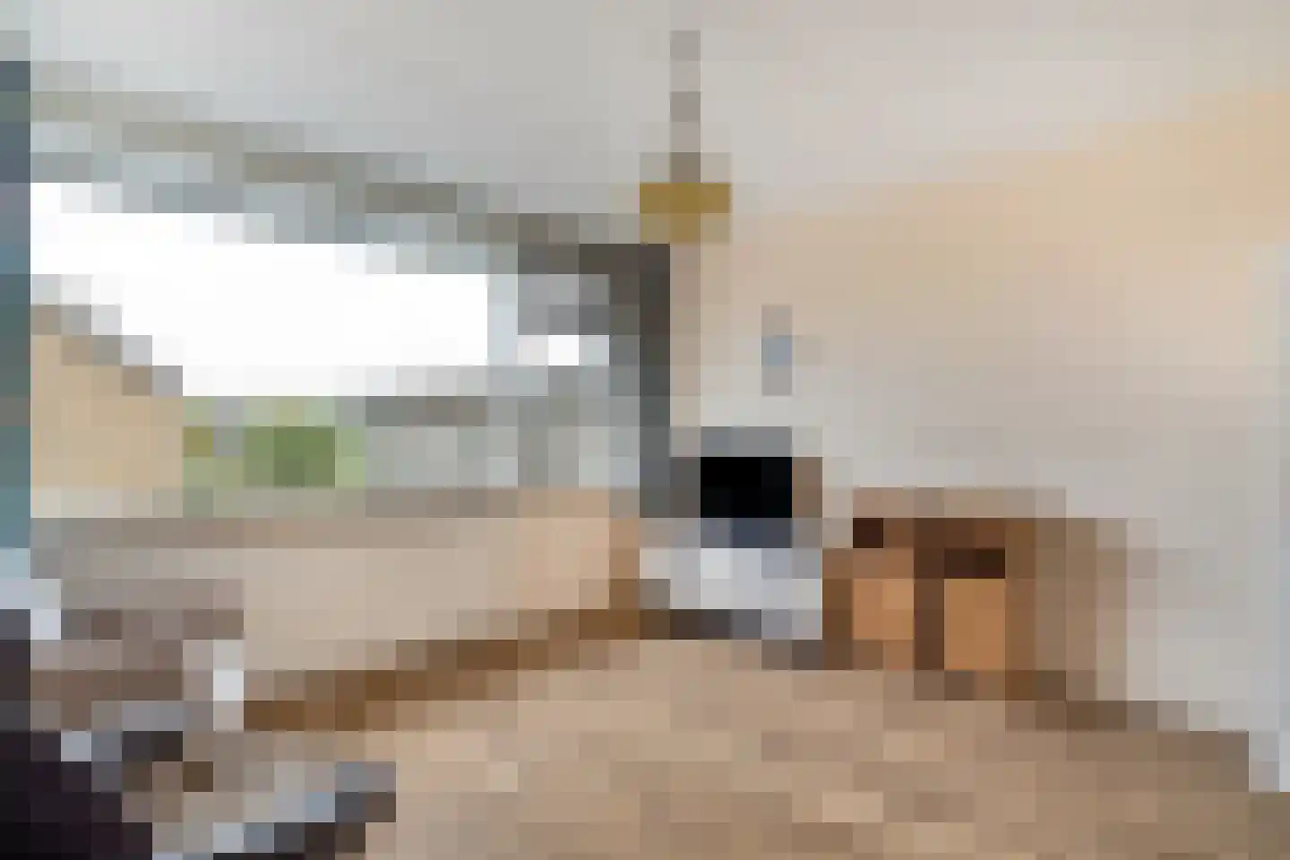 Burgemeester van Outerenstraat 11 Zoeterwoude thumbnail 41