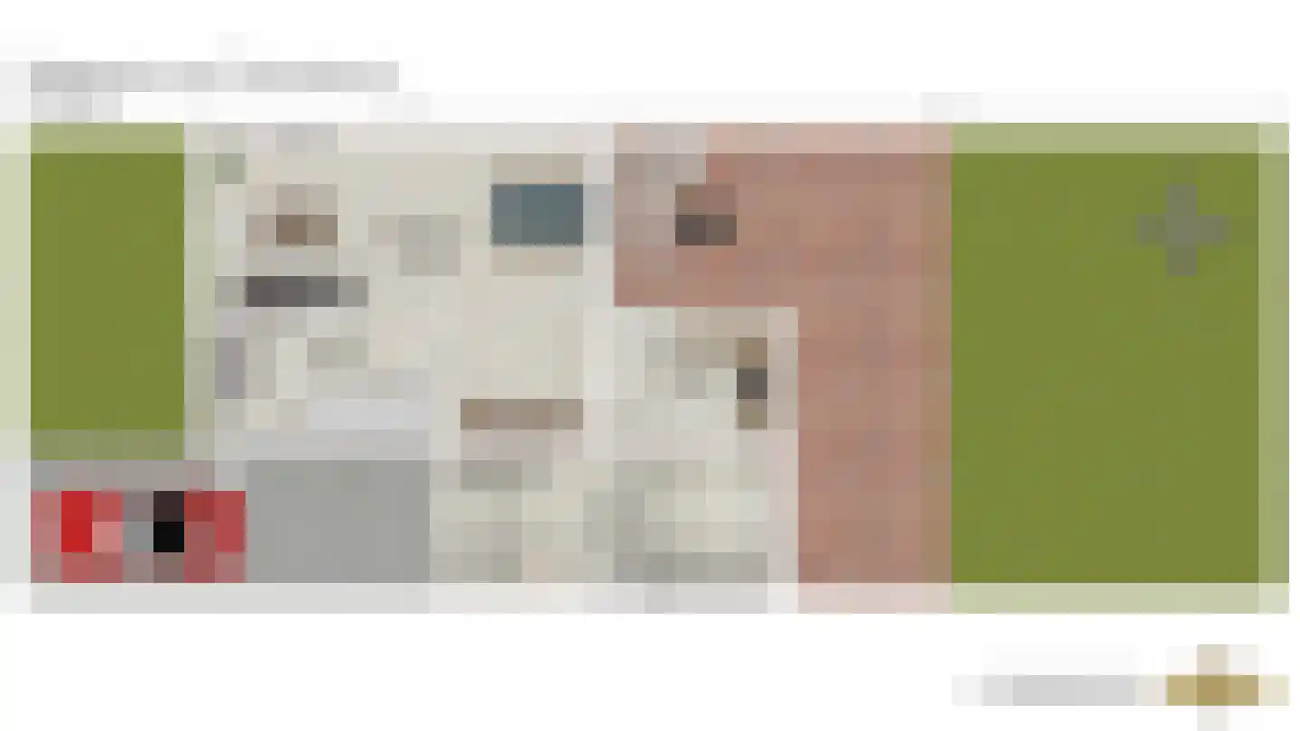 Burgemeester van Outerenstraat 11 Zoeterwoude thumbnail 56