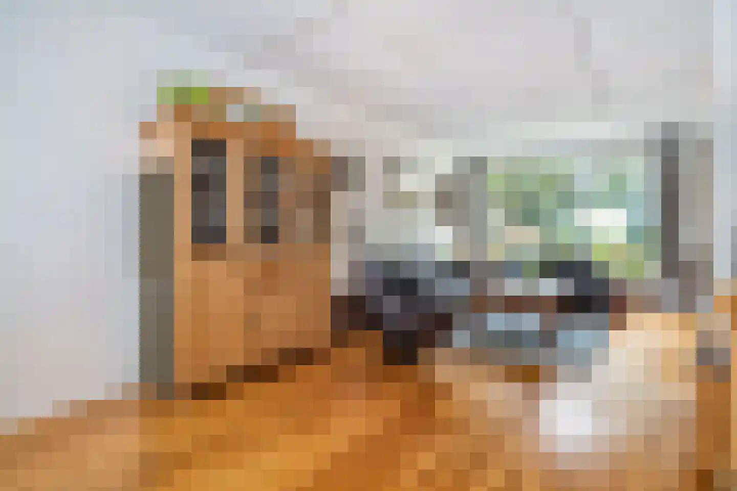 Burgemeester van Outerenstraat 11 Zoeterwoude thumbnail 6