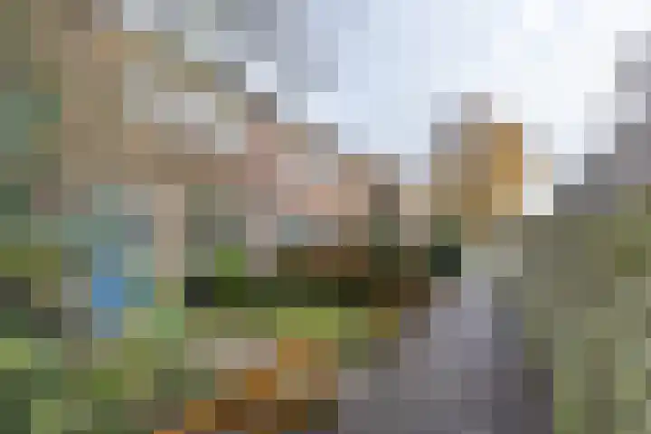 Burgemeester van Panhuyslaan 129 Burgum thumbnail 13