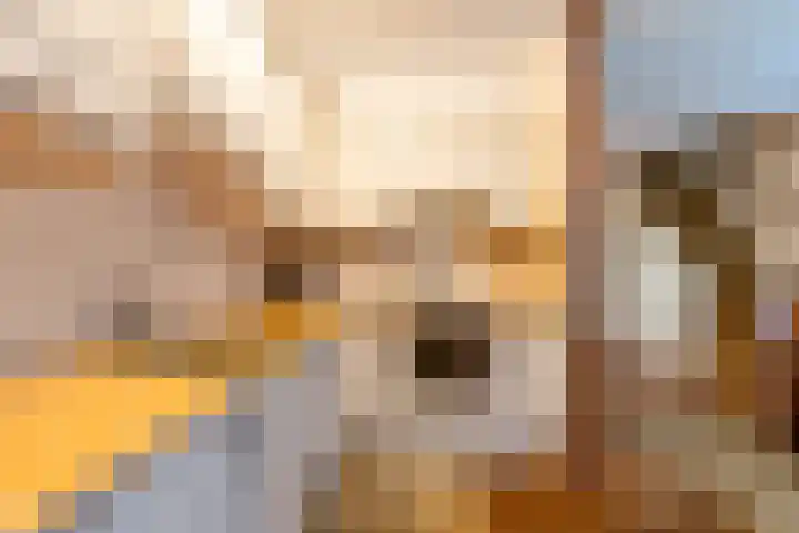 Burgemeester van Panhuyslaan 129 Burgum thumbnail 25