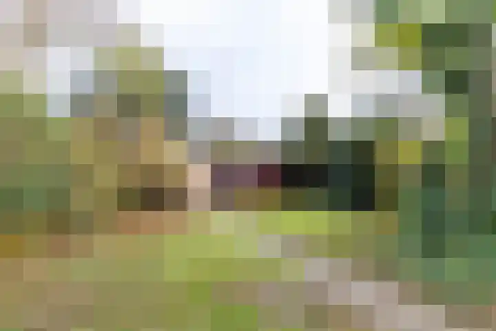 Burgemeester van Panhuyslaan 129 Burgum thumbnail 30