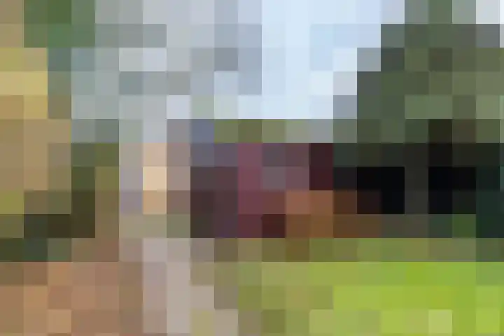 Burgemeester van Panhuyslaan 129 Burgum thumbnail 31