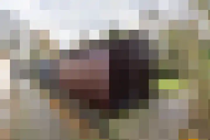 Burgemeester van Panhuyslaan 129 Burgum thumbnail 33