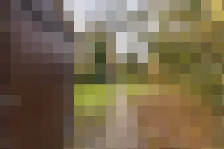 Burgemeester van Panhuyslaan 129 Burgum thumbnail 34