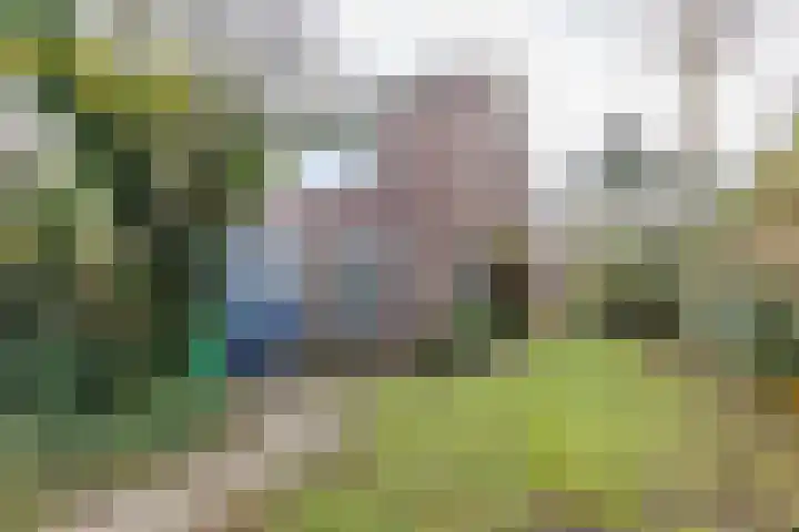 Burgemeester van Panhuyslaan 129 Burgum thumbnail 4