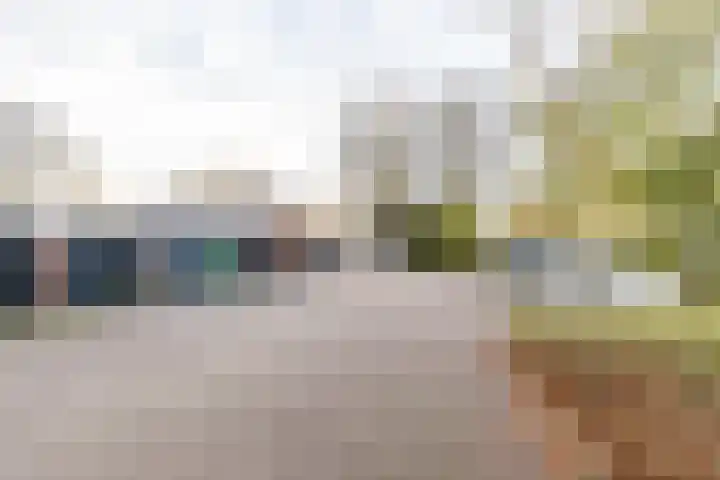 Burgemeester van Panhuyslaan 129 Burgum thumbnail 6