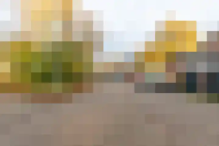 Burgemeester van Panhuyslaan 129 Burgum thumbnail 7