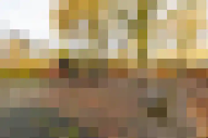 Burgemeester van Panhuyslaan 129 Burgum thumbnail 8
