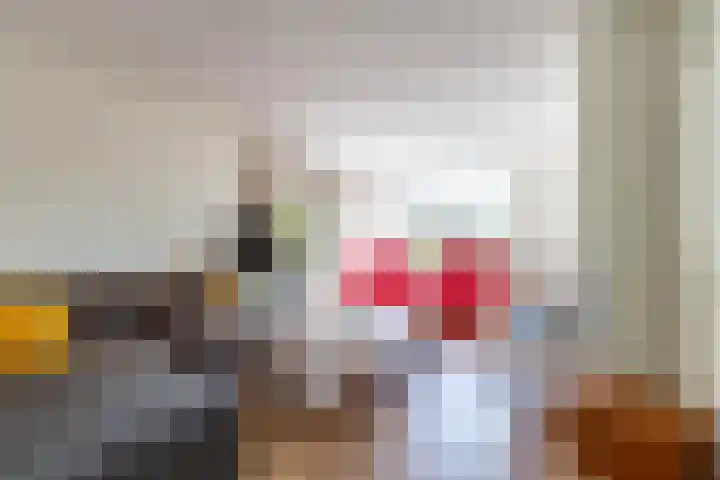 Burgemeester van Panhuyslaan 135 B Burgum thumbnail 17