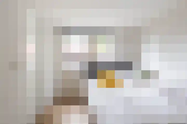 Burgemeester van Panhuyslaan 135 B Burgum thumbnail 27