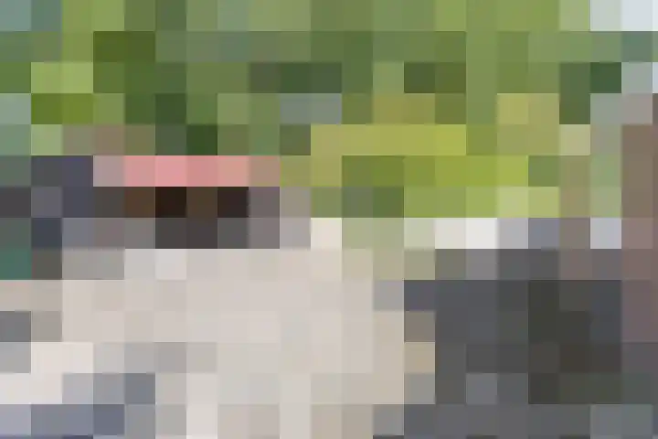 Burgemeester van Panhuyslaan 135 B Burgum thumbnail 47