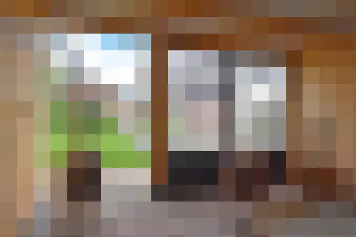 Burgemeester van Panhuyslaan 147 Burgum thumbnail 12