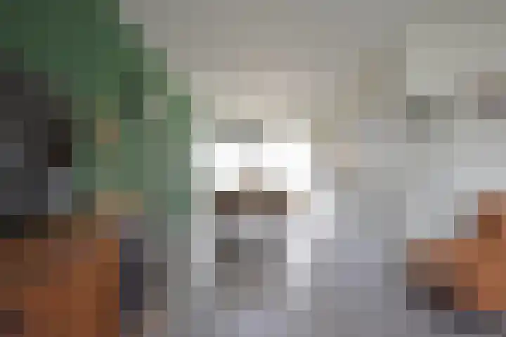 Burgemeester van Panhuyslaan 147 Burgum thumbnail 22