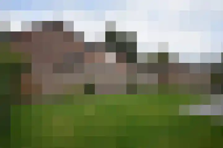 Burgemeester van Panhuyslaan 147 Burgum thumbnail 5