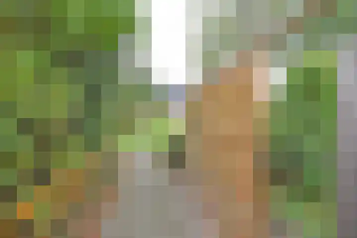 Burgemeester van Panhuyslaan 147 Burgum thumbnail 7