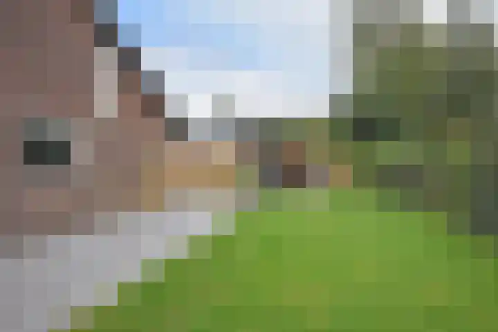 Burgemeester van Panhuyslaan 147 Burgum thumbnail 9