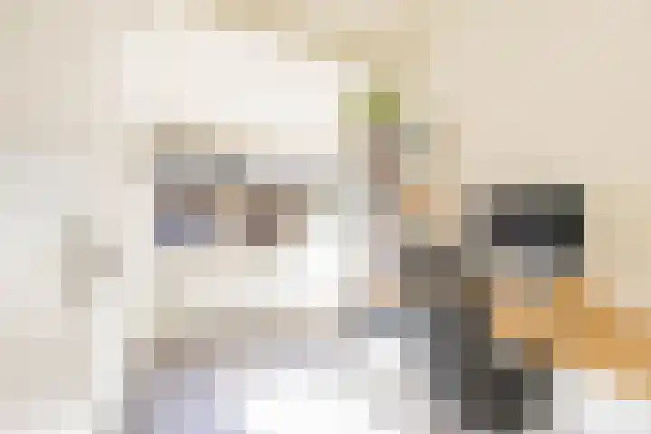 Burgemeester van Panhuyslaan 15 Burgum thumbnail 5