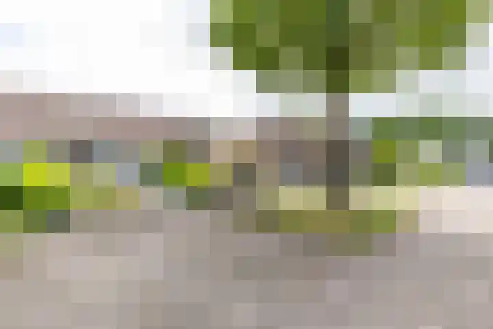 Burgemeester van Panhuyslaan 18 Burgum thumbnail 4