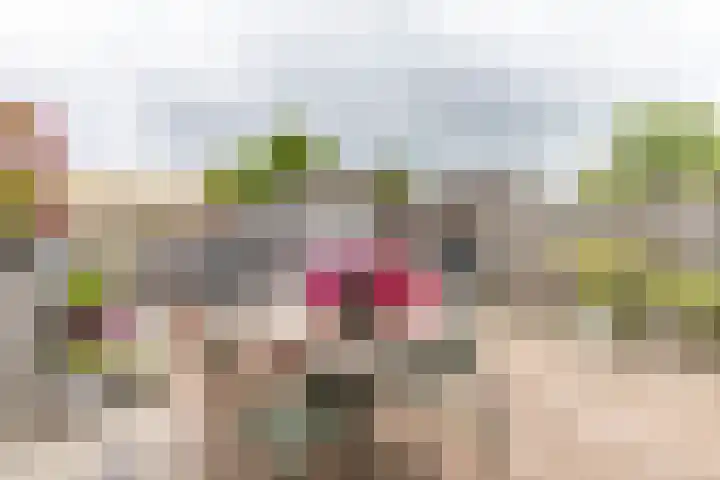 Burgemeester van Panhuyslaan 18 Burgum thumbnail 40