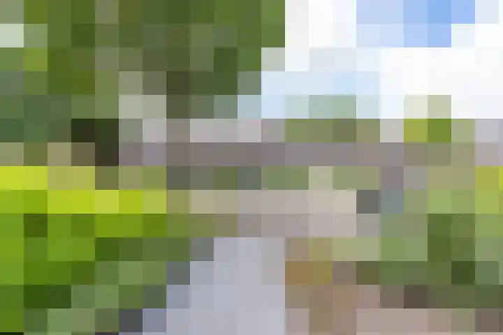 Burgemeester van Panhuyslaan 18 Burgum thumbnail 5