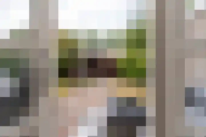 Burgemeester van Panhuyslaan 41 Burgum thumbnail 22