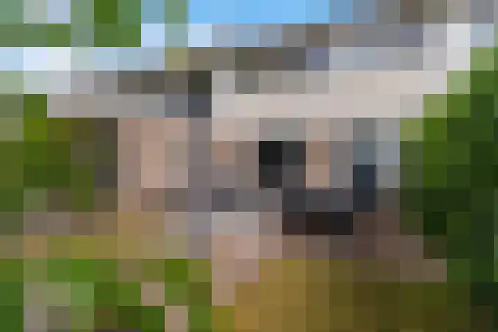 Burgemeester van Panhuyslaan 41 Burgum thumbnail 32