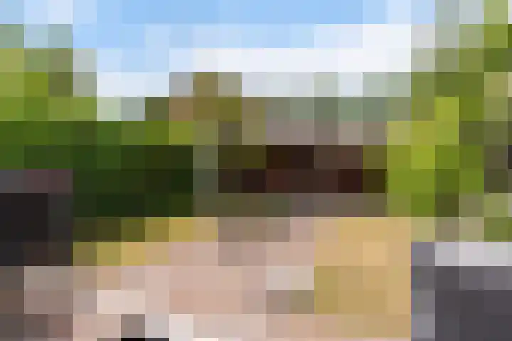 Burgemeester van Panhuyslaan 41 Burgum thumbnail 6