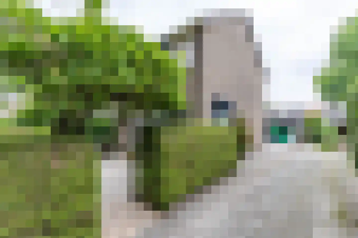 Burgemeester van Panhuyslaan 66 Burgum thumbnail 44