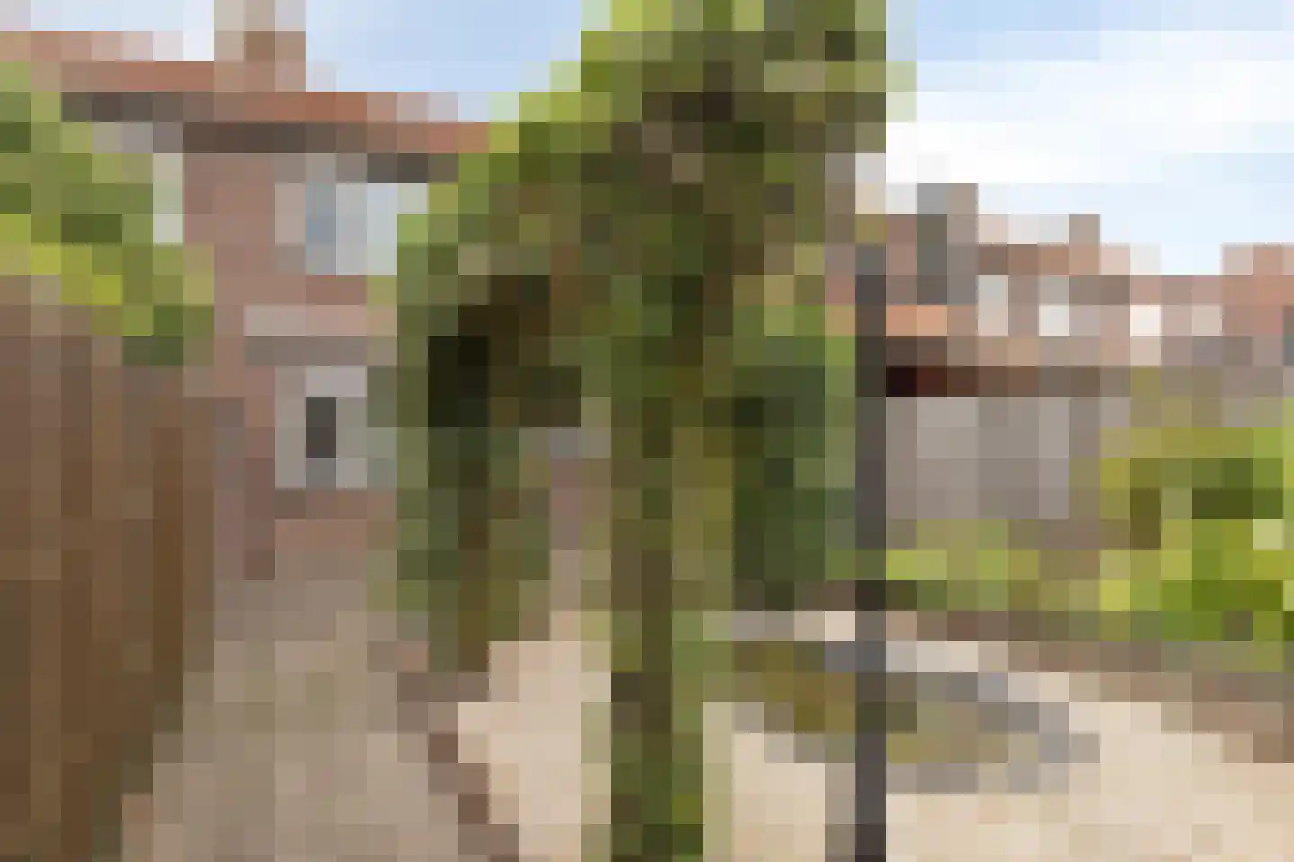 Burgemeester van Poppelstraat 103 Gilze thumbnail 35